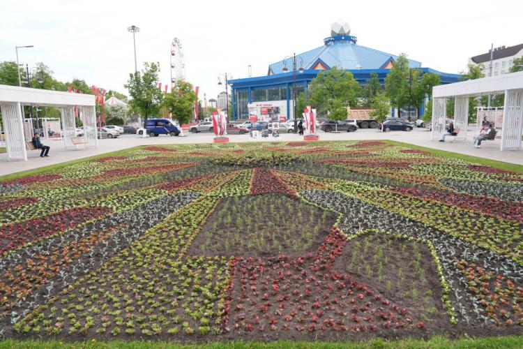 Более 100 объектов цветочного оформления появятся в Тюмени