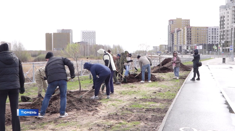 Аллею разведчика Кузнецова высадили в Тюмени