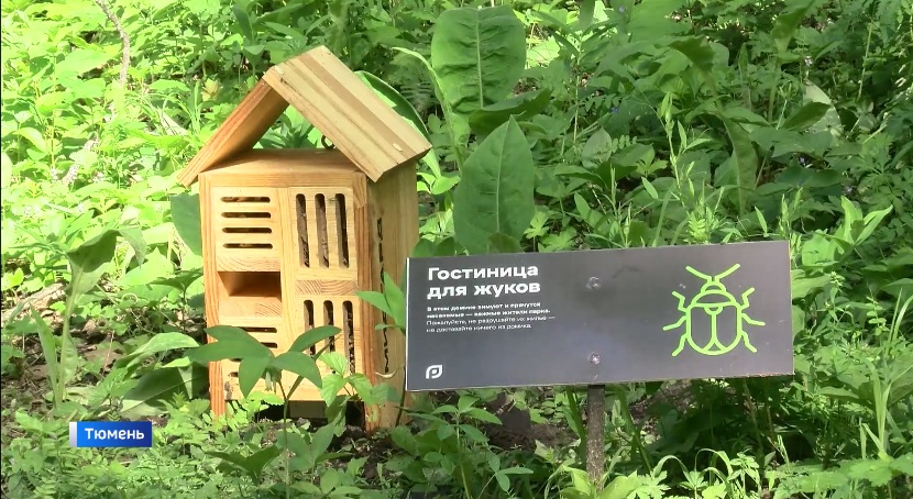  Кормушки и "гостиницы" для насекомых установили в тюменском экопарке 