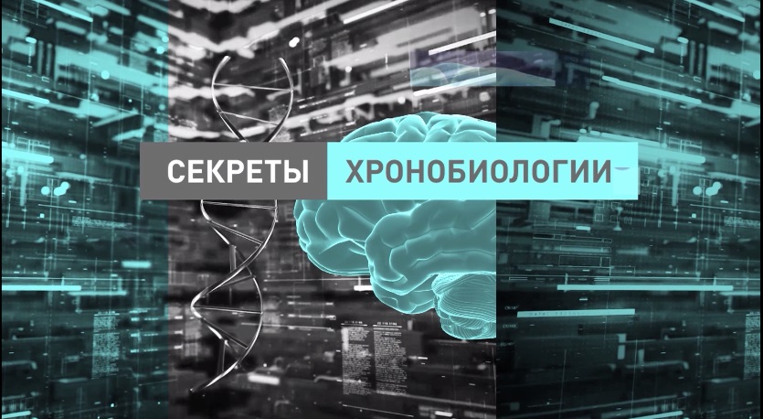 "Секреты хронобиологии" (№3/2024)