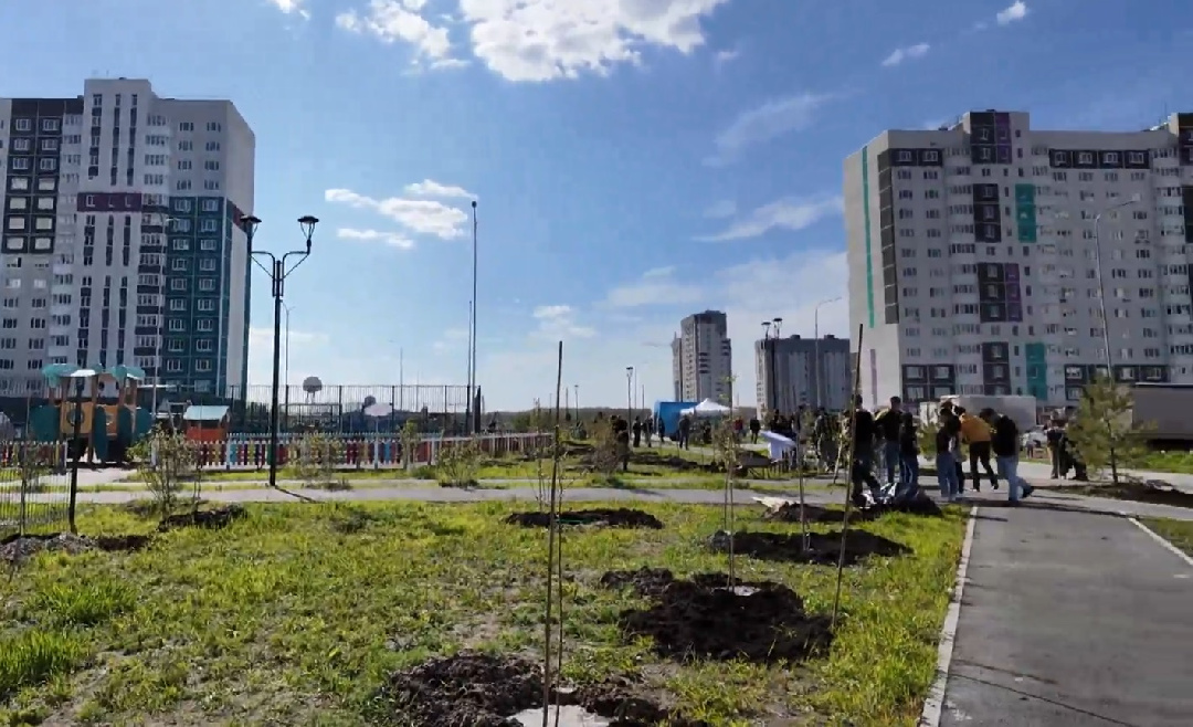 Волонтеры высадили яблони в тюменском ЖК