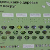 Новый образовательный экомаршрут открылся в Тюмени к 70-летию юннатского движения Тюменской области