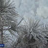 На Ямал пришли сильные морозы 