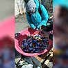 Более 600 килограммов пластиковых крышек собрали тюменские экоактивисты