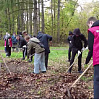 Березовую рощу в Ишиме очистили от мусора