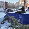 Пункты приема хвойных деревьев открыты в Тюмени 