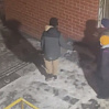 Жильцы тюменской многоэтажки пожаловались на хулиганские выходки детей
