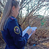 Личность подозреваемой в убийстве младенца установлена в Тюмени 